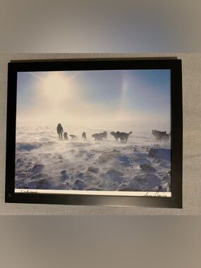 Signed Limited Edition "Endurance" Arctic Sled Dogs Photo by U.S. Army Spc.